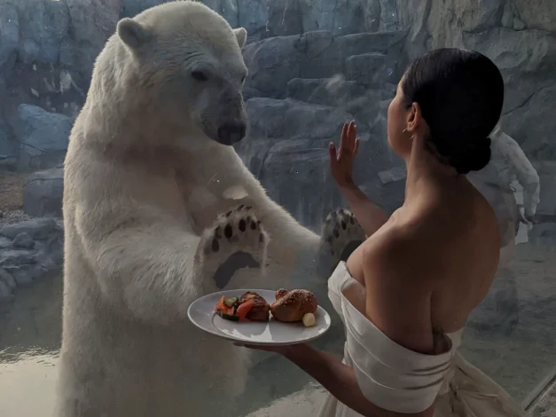 Bride in a wedding dress holding a plate of appetizers beside the polar bear habitat glass at the Journey to Churchill exhibit